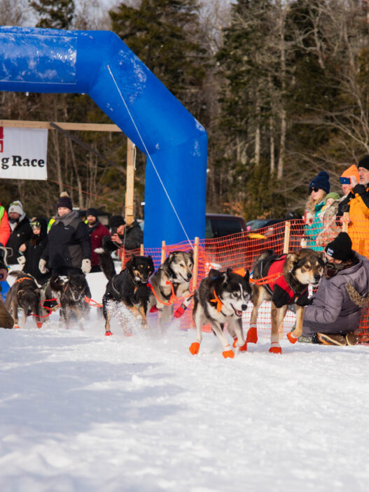 Wilderness Dog Sled Race 2026